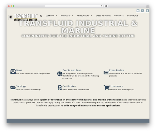 Hello Elementor WordPress theme - transfluid.us