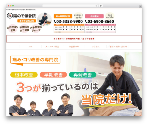 Selfull WordPress theme design - hinode-sekkotsu-nishiguchi.com