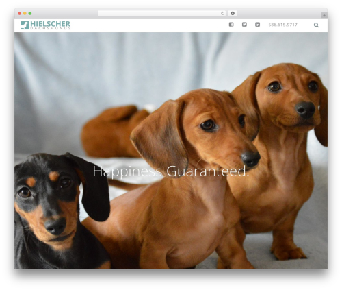 Font Awesome (font-awesome) free WordPress plugin - hielscherdachshunds.com Font Awesome (font-awesome) free WordPress plugin - hielscherdachshunds.com