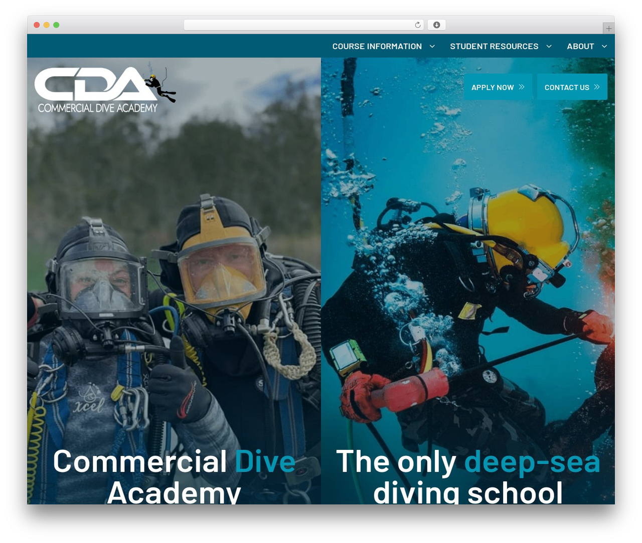 Theme WordPress Avada Child - commercialdiveacademy.com