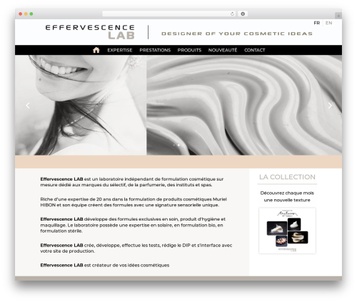 Theme WordPress Divi - effervescence-lab.com