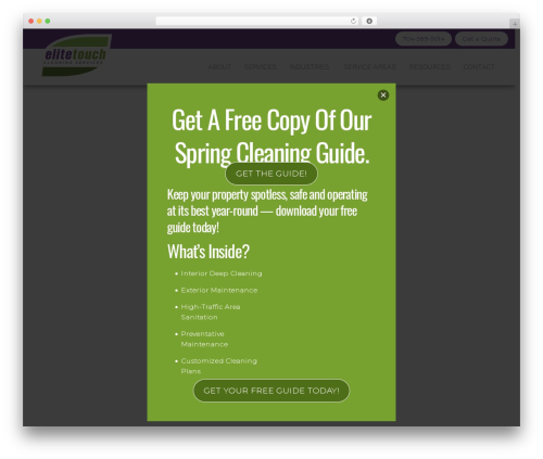 Themify Popup (themify-popup) free WordPress plugin - elitetouchcleaningservices.com