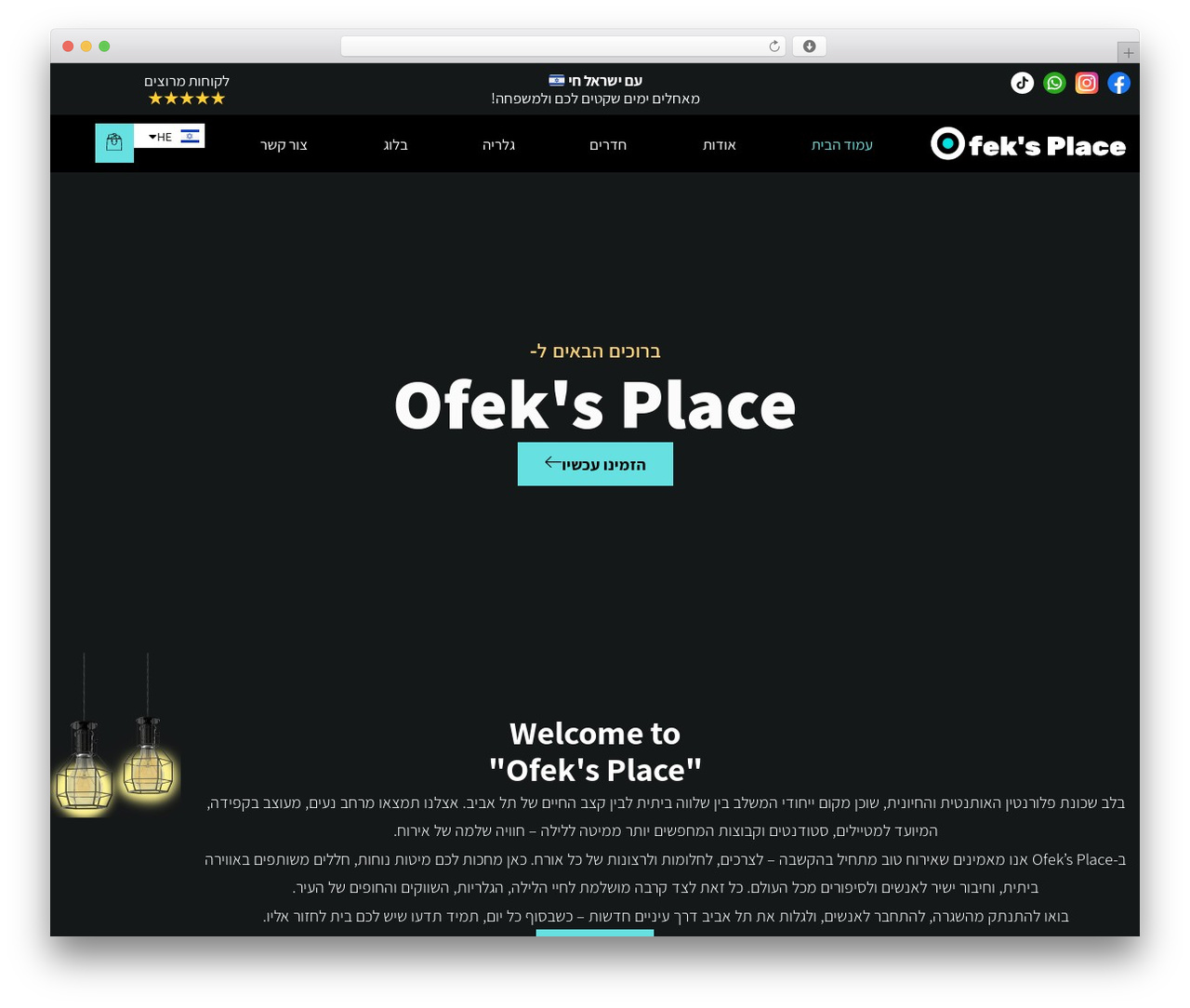 Hello Elementor WordPress theme - ofeksplace.com