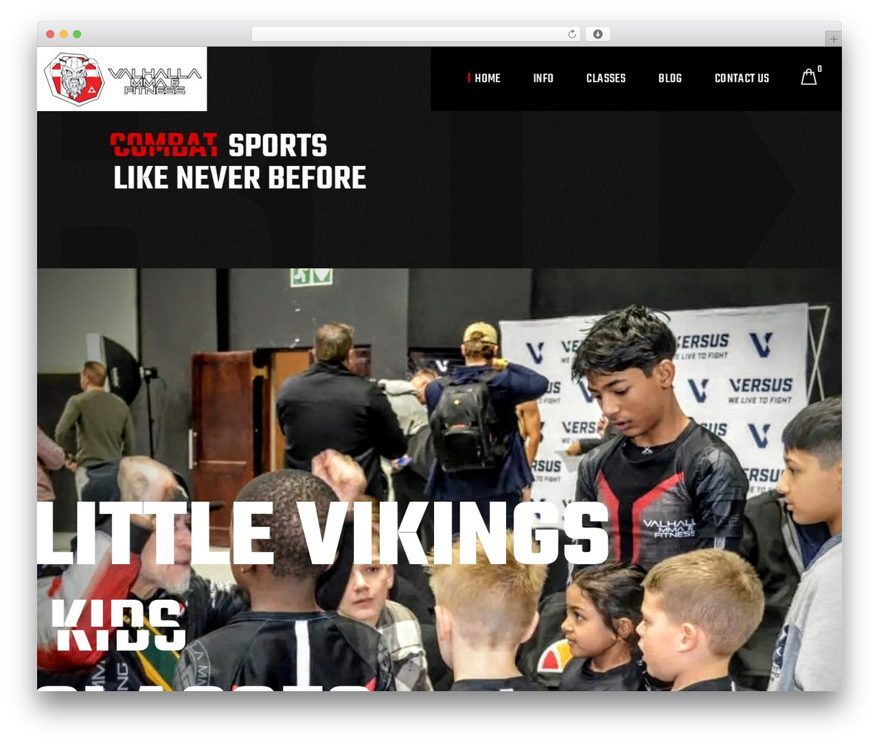 Knockout theme WordPress - valhallammasa.co.za