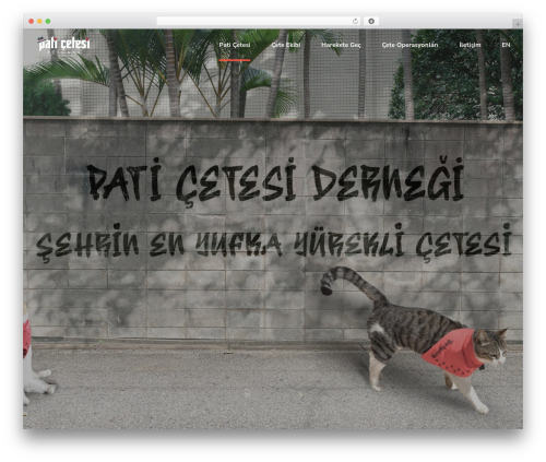 Pawsitive WordPress theme - birpaticetesi.org