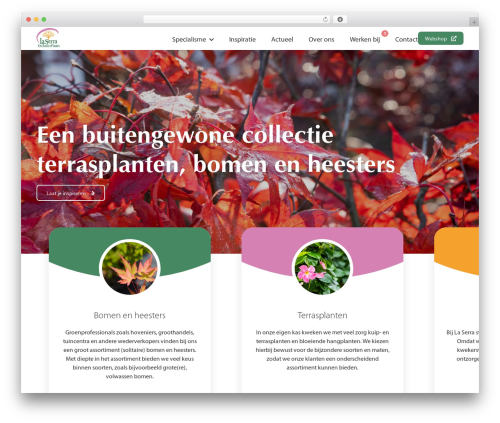 Theme WordPress Double Click - laserra.nl
