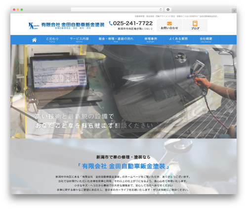 Custom article WordPress plugin - kaneda-auto.com