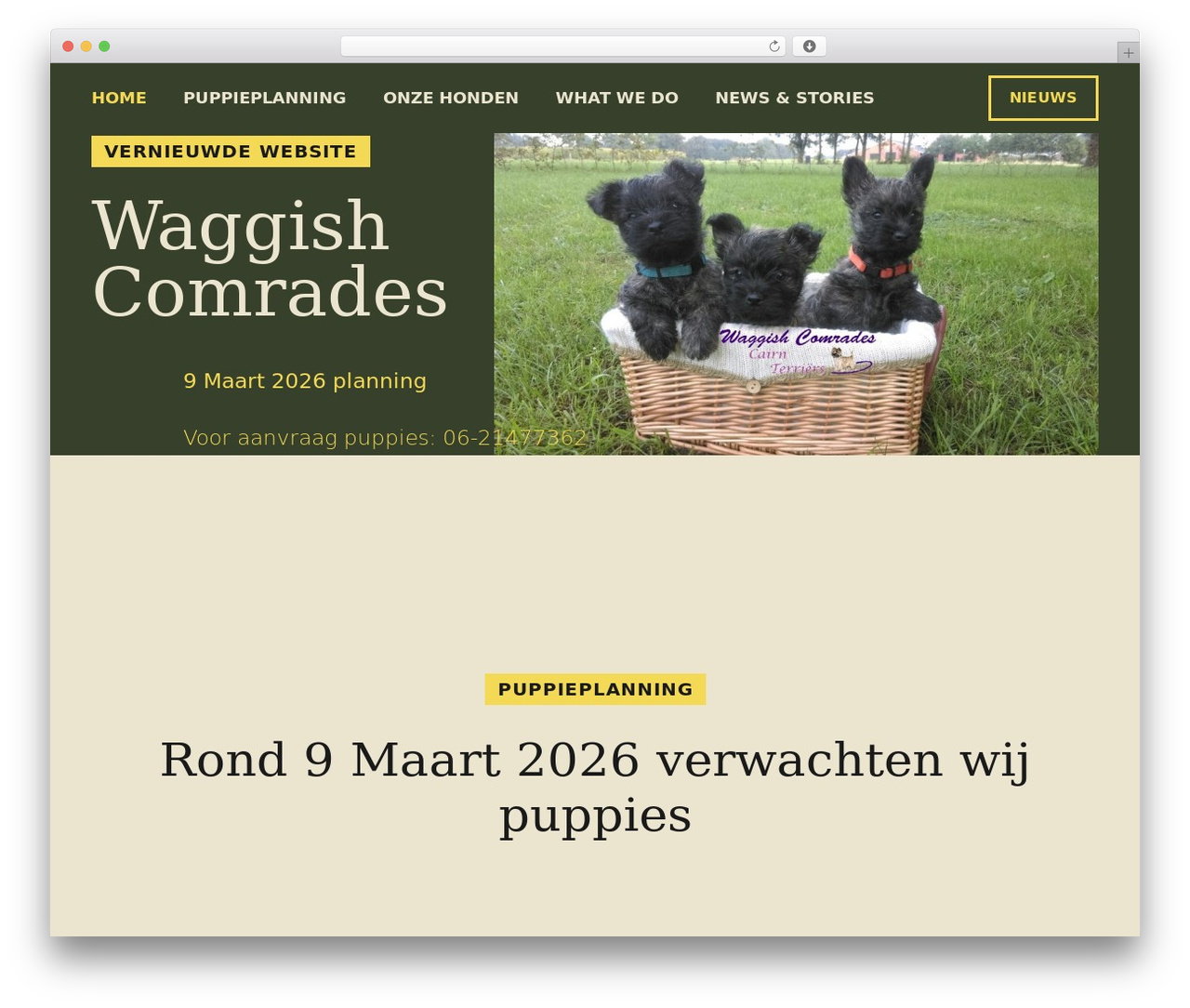 Theme WordPress Impreza - waggishcomrades.nl Theme WordPress Impreza - waggishcomrades.nl