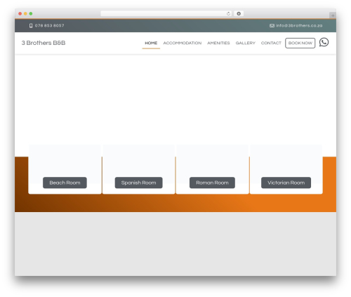 Theme WordPress Hello Elementor - 3brothers.co.za