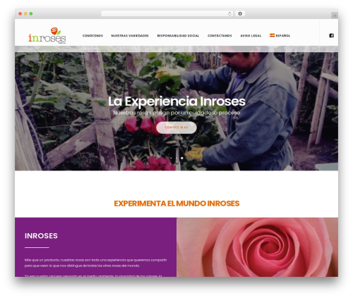Nextchat (nextchat) free WordPress plugin - inroses.com