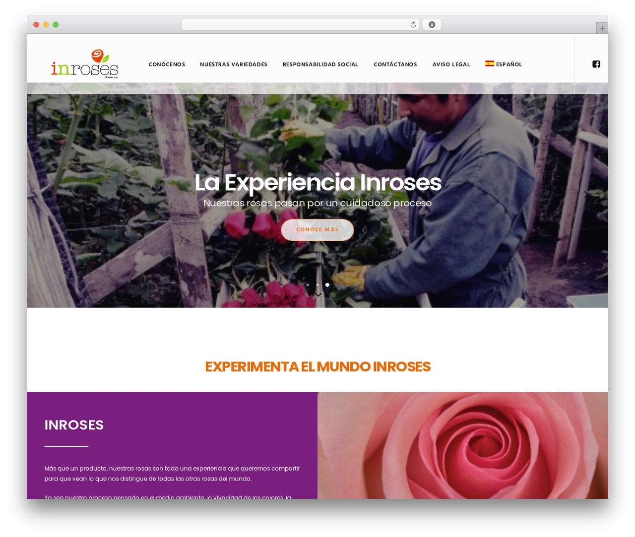 Uncode WP theme - inroses.com Uncode WP theme - inroses.com