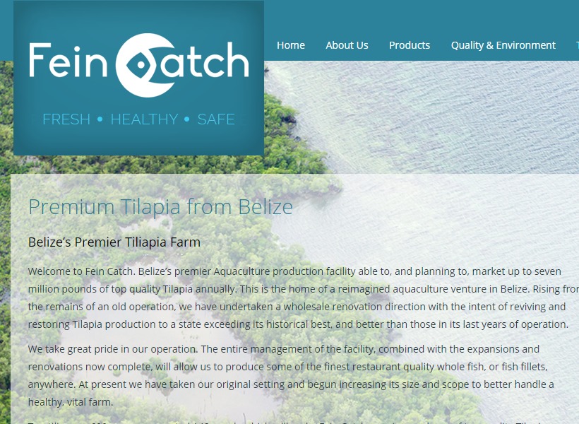 WordPress theme FeinCatch by Abu Bakar