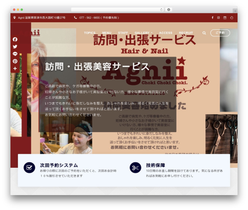 ArileWP Pro WordPress theme - agnii.net