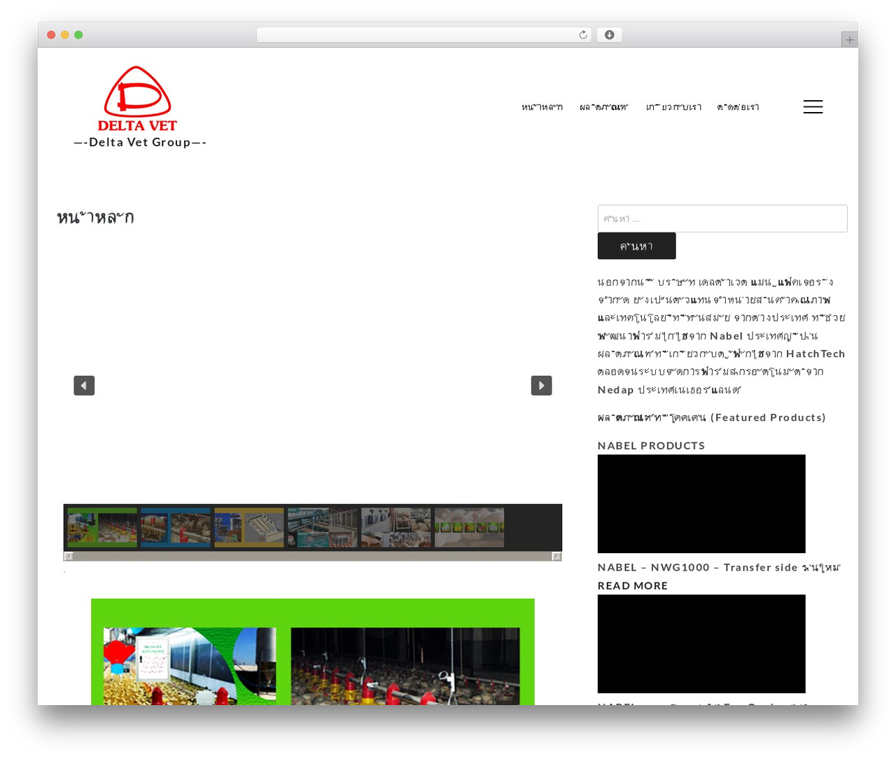 Gutenberg Starter WordPress Theme Free WordPress theme - deltavet.com