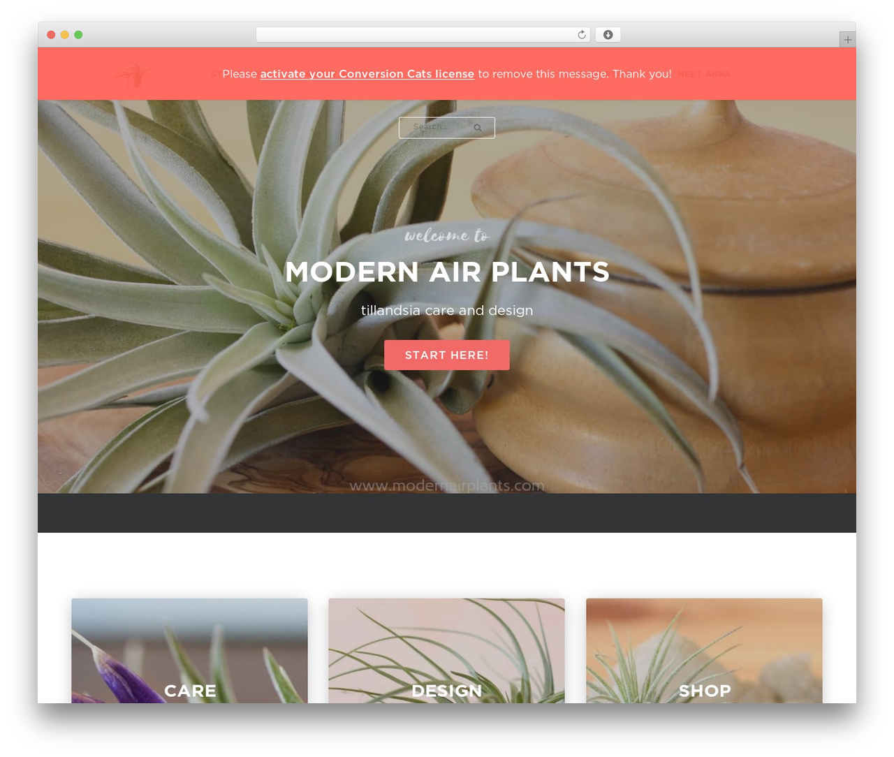 WordPress theme Conversion Cats - modernairplants.com