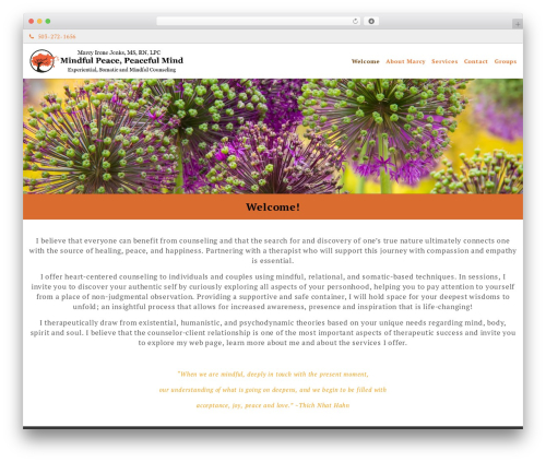 WordPress theme Ef Practical - mindfulpeacepeacefulmind.com WordPress theme Ef Practical - mindfulpeacepeacefulmind.com