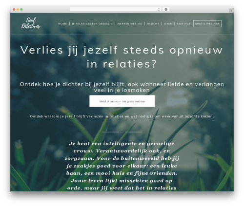 Tagging WordPress plugin - souldetectives.nl