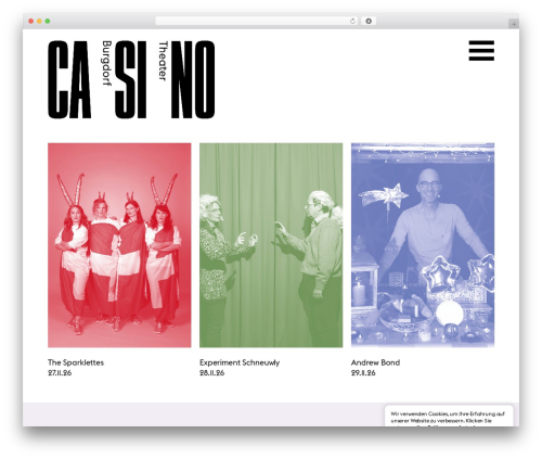 Beautiful and responsive cookie consent addon WordPress plugin - theaterburgdorf.ch