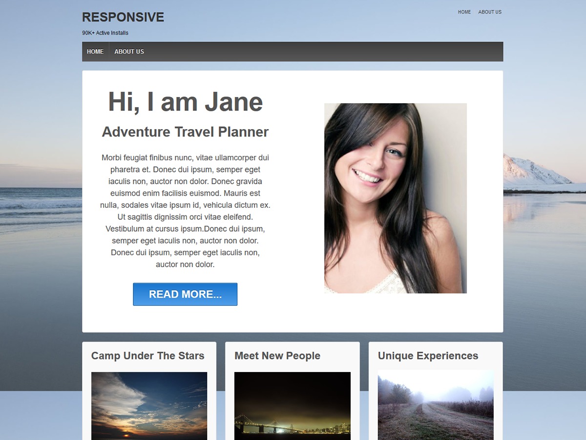 Responsive WordPress ecommerce theme Responsive WordPress ecommerce theme