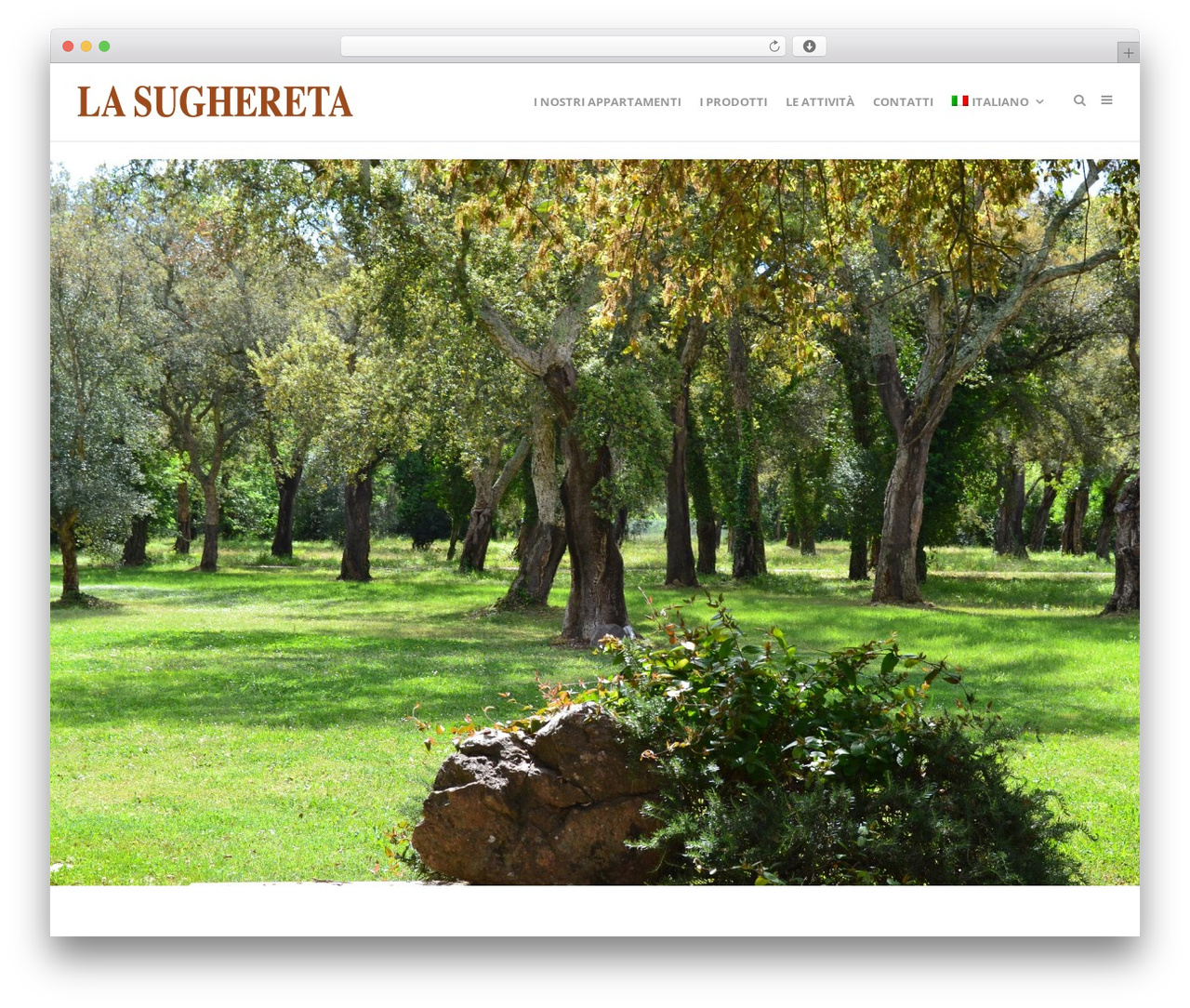 Theme WordPress Create - sughereta.com Theme WordPress Create - sughereta.com