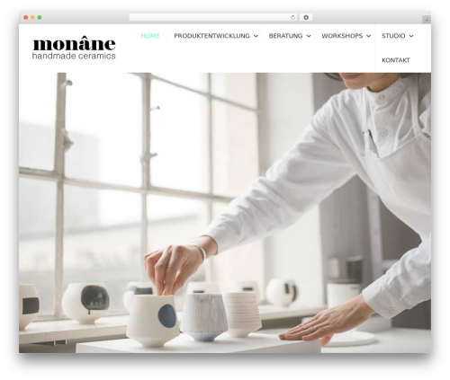 WP theme Beaver Builder Theme - monane.com