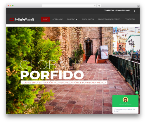 You WordPress theme - globalporfido.com
