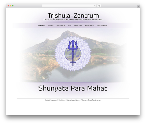 Developer 2014 theme WordPress - trishula.center