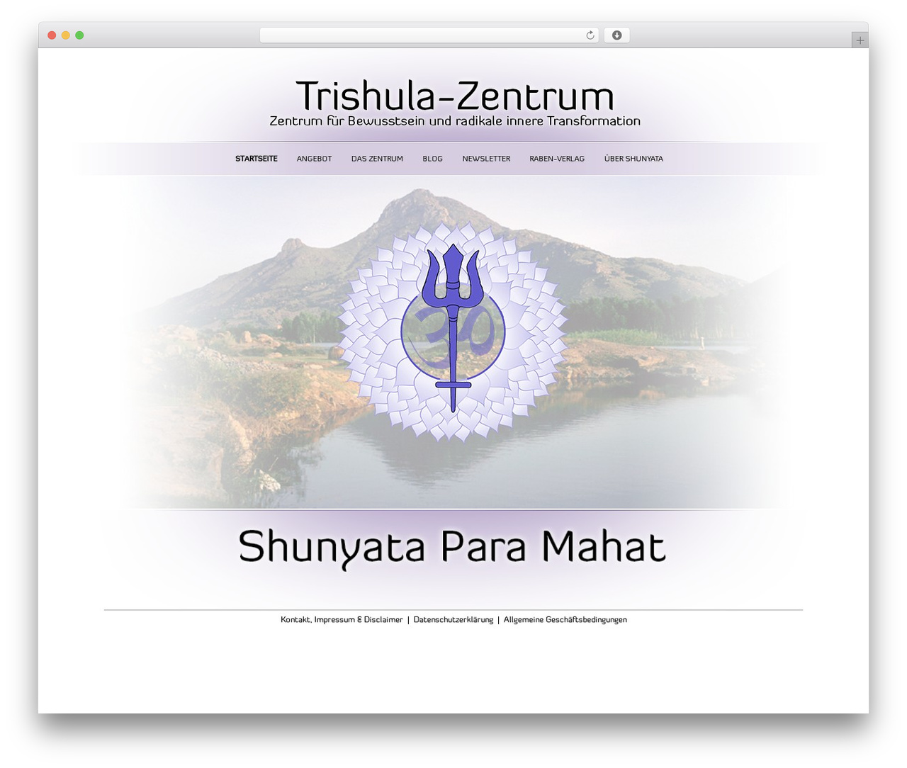 Developer 2014 theme WordPress - trishula.center
