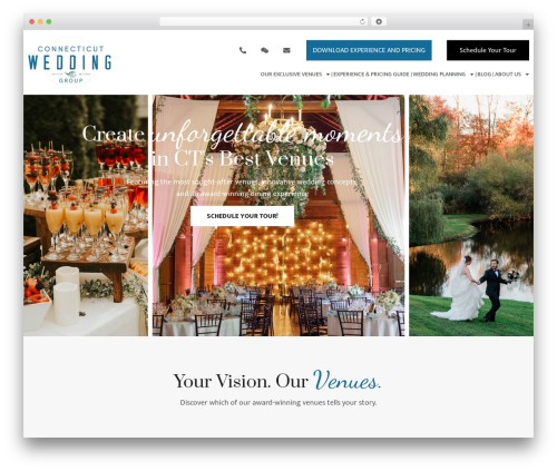 Pronto lead insights WordPress plugin - www.ctweddinggroup.com