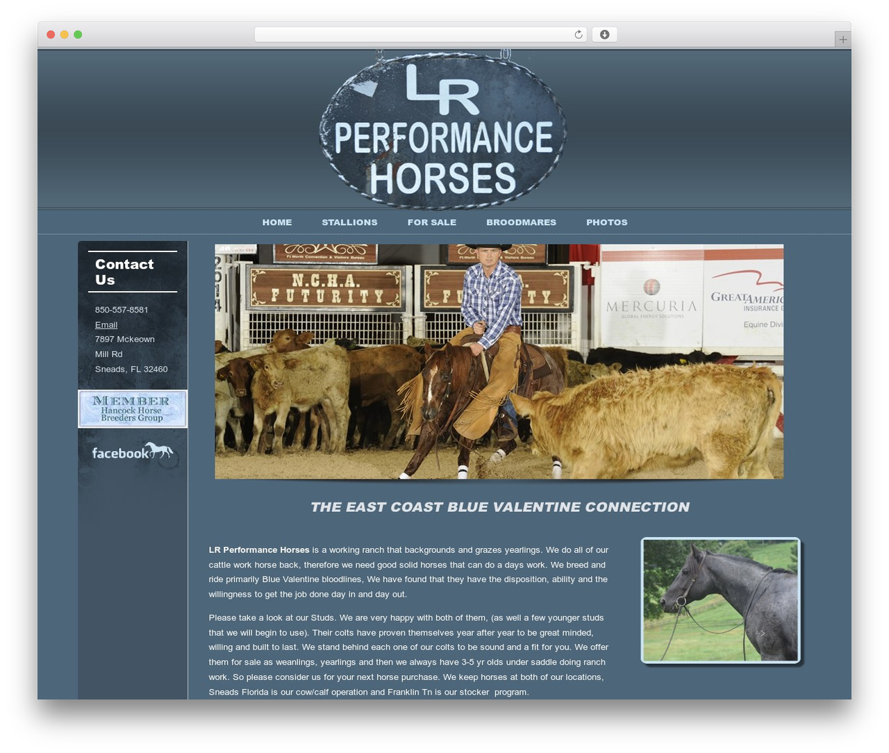 Theme WordPress LRPH_Theme_01 - lrperformancehorses.com