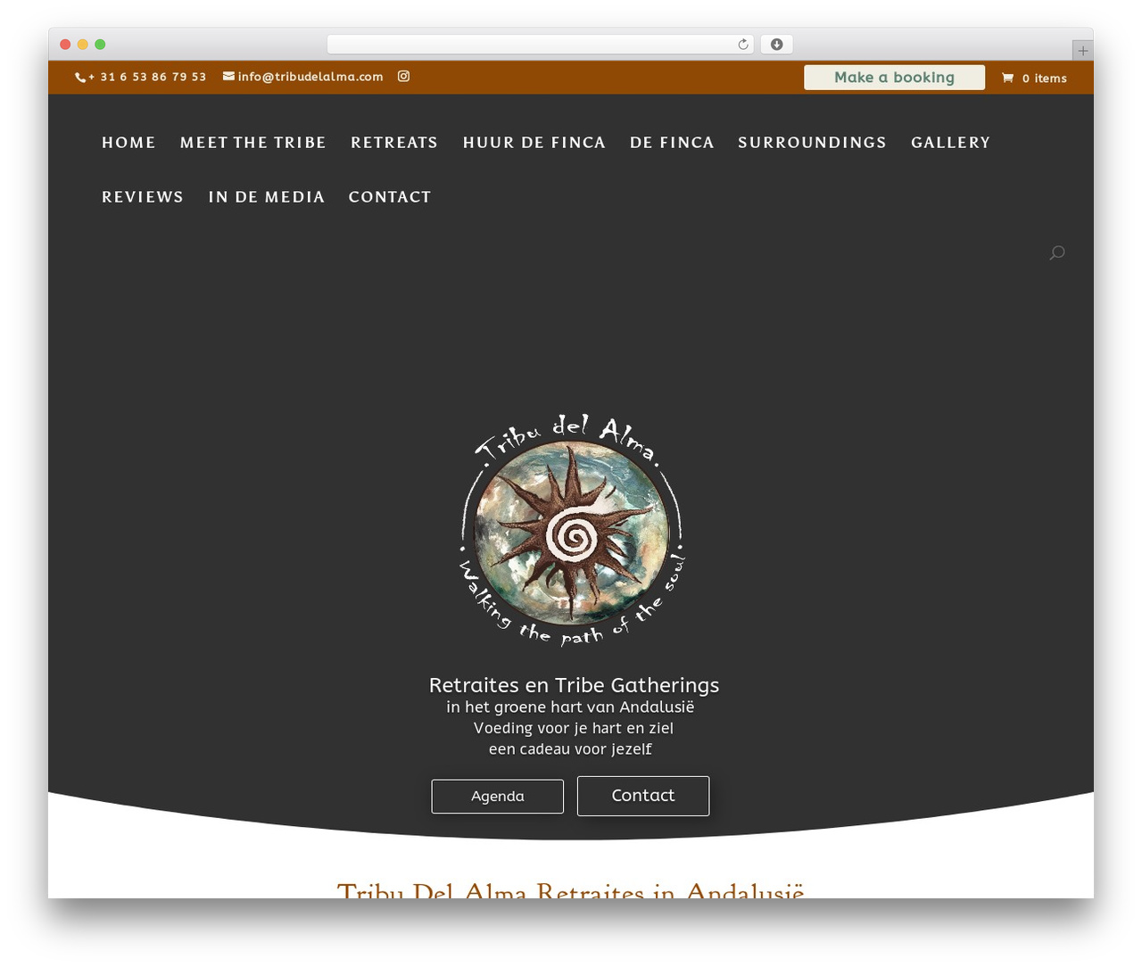 WordPress theme Divi - tribudelalma.com