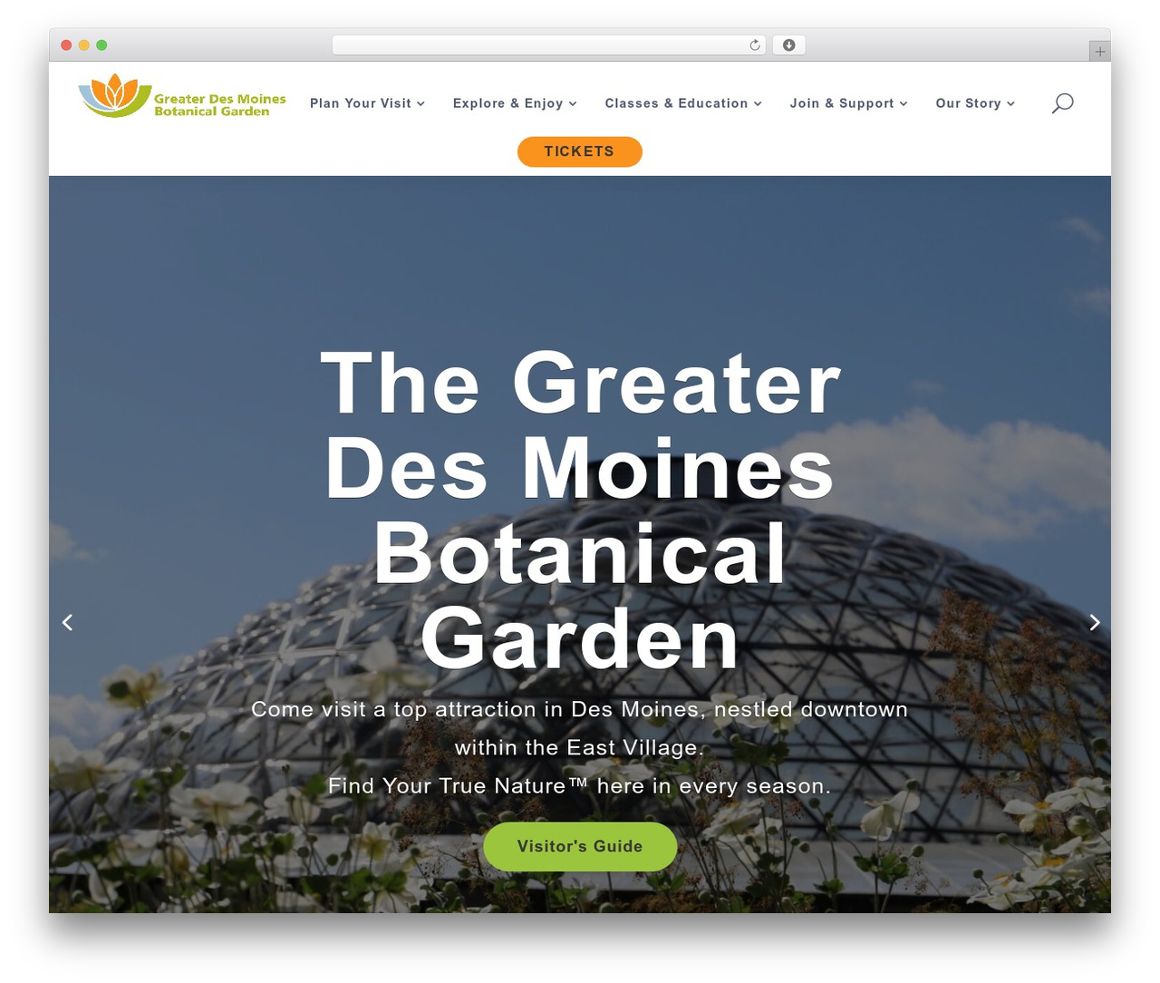 WordPress theme Divi Child - dmbotanicalgarden.com