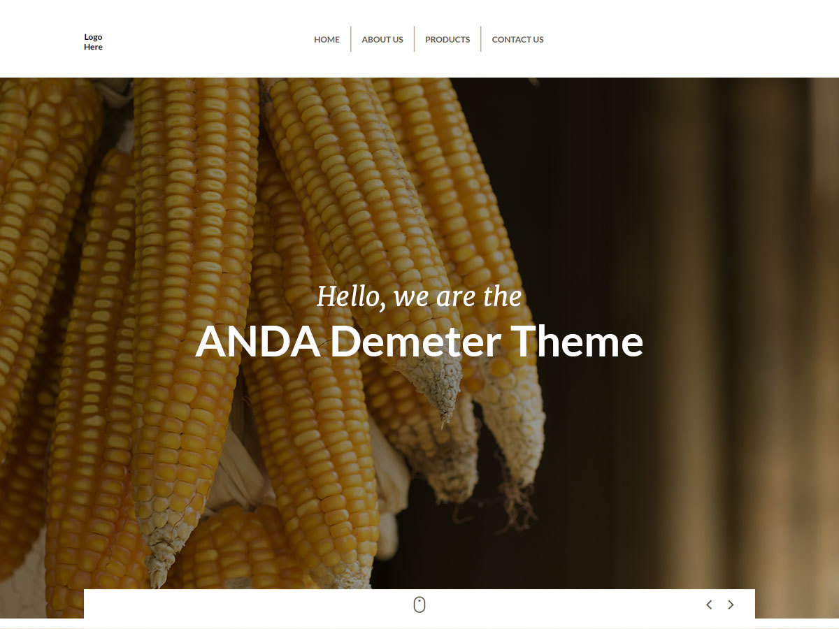ANDA Creative Demeter Theme WordPress theme by Anda Creative