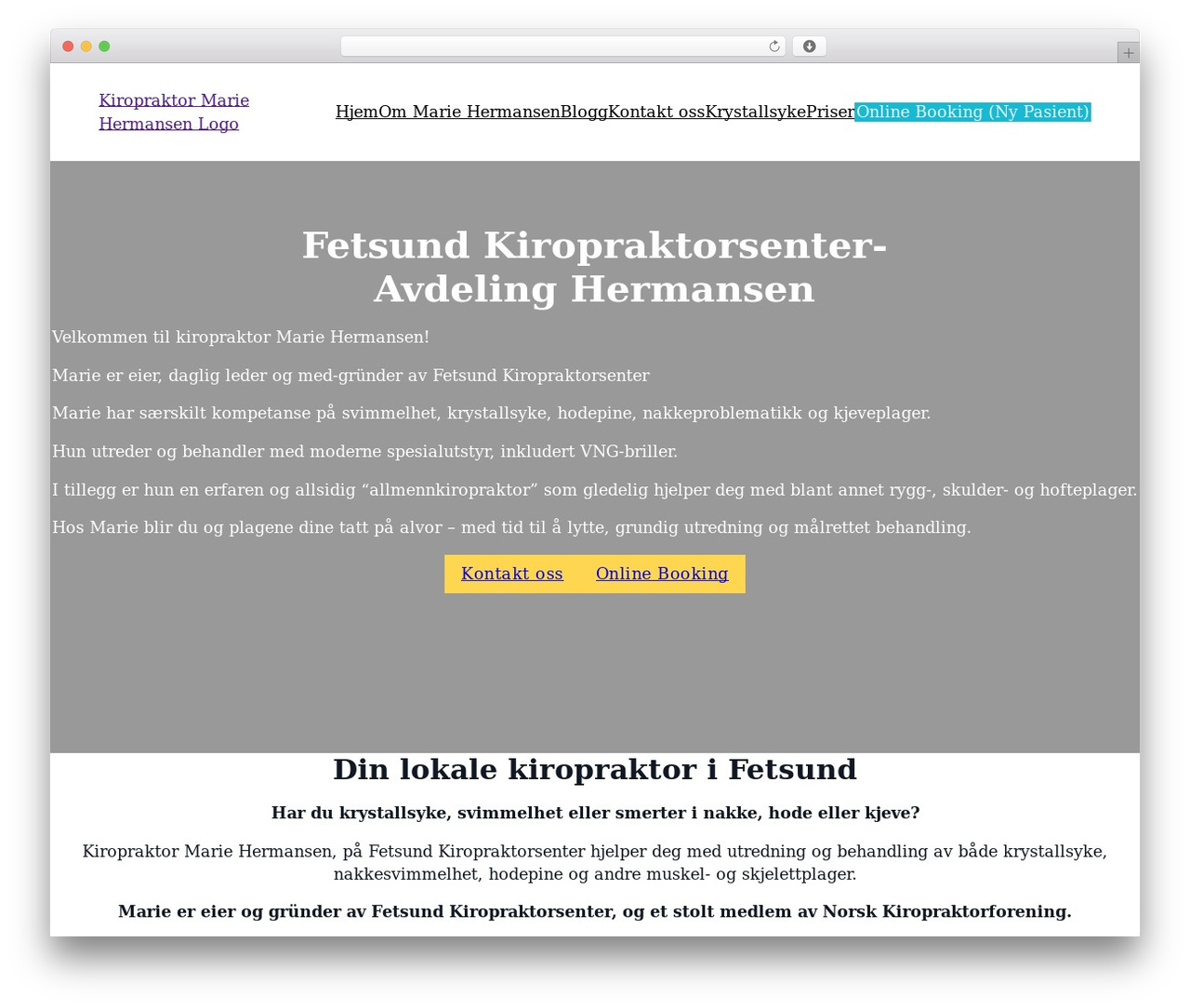 Bricks theme WordPress - fetsundkiropraktormarie.no