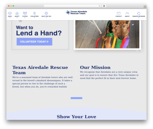 Buzz To The Rescues best WordPress theme - texasairedalerescue.com