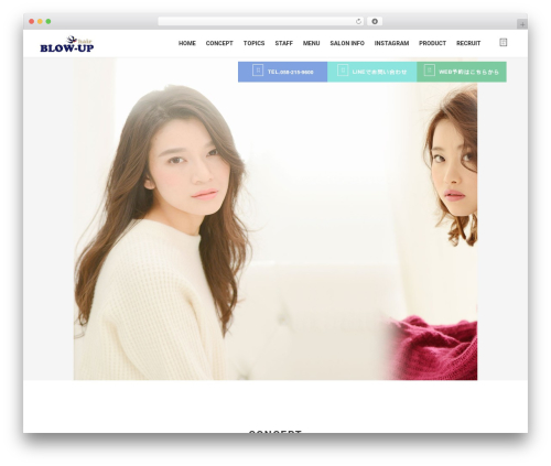 CMS_BASE1 theme WordPress - blow-up-hair.com