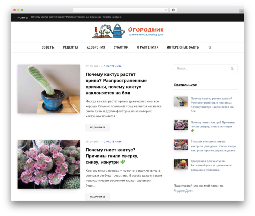 Gmasonry related posts WordPress plugin - dacha-ogorod-sad.ru