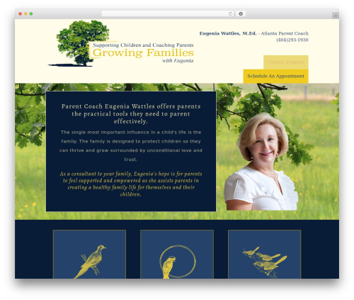 Hello Pro WordPress website theme - atlparentcoach.com