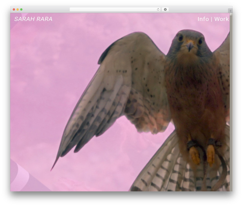 lds WordPress video theme - sarahrara.com