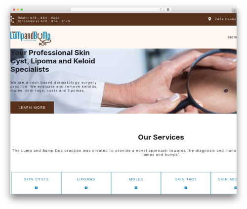 Precision Creative theme WordPress - lumpandbumpdoc.com