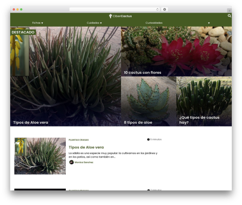 WordPress theme ABN Framework - cibercactus.com