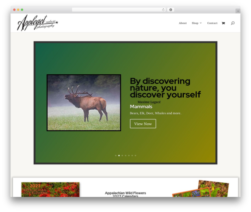 WP Security Safe (security-safe) free WordPress plugin - applegetphotography.com