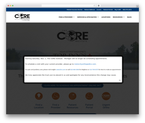 Divi WP theme - thecoreinstitutemi.com