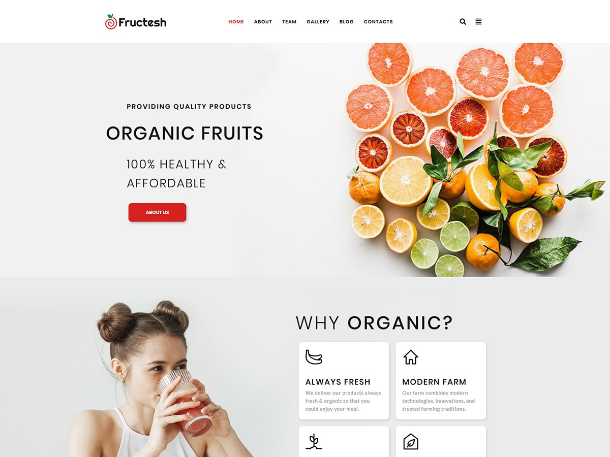 Fructesh WordPress theme