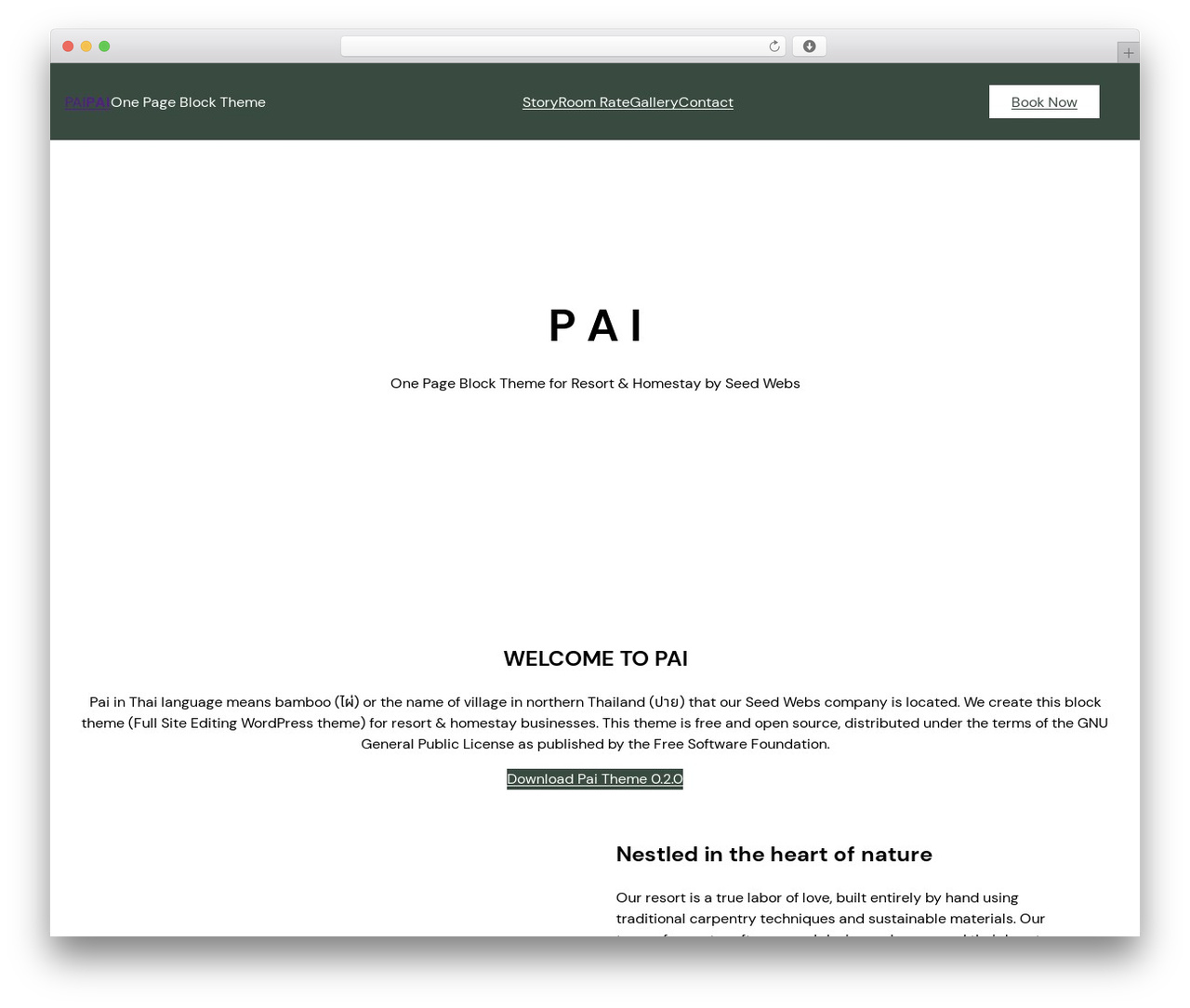 Pai WordPress theme - pai.seeddemo.com