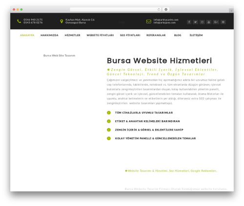 Bears_shortcodes WordPress plugin - arktasarim.com