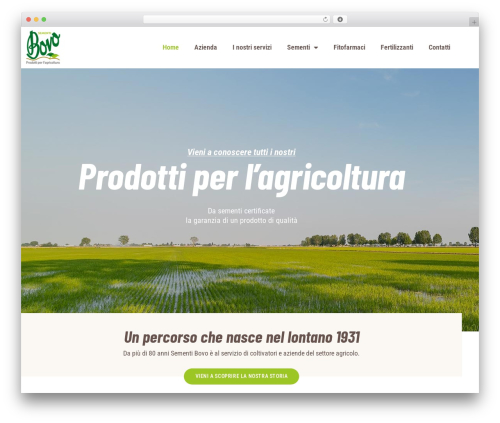 Mg main plug WordPress plugin - sementibovo.it