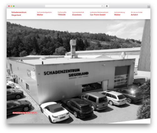 MB Theme Options WordPress theme - schadenzentrum-siegerland.de