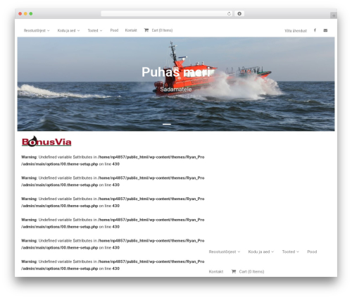 Thinkup panels WordPress plugin - bonusvia.ee