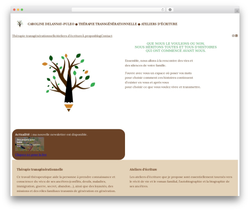 Nice page transition (nice-page-transition) free WordPress plugin - carolinedelannay.com